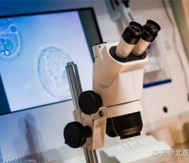 要想宝宝平安出生，这些要特别注意